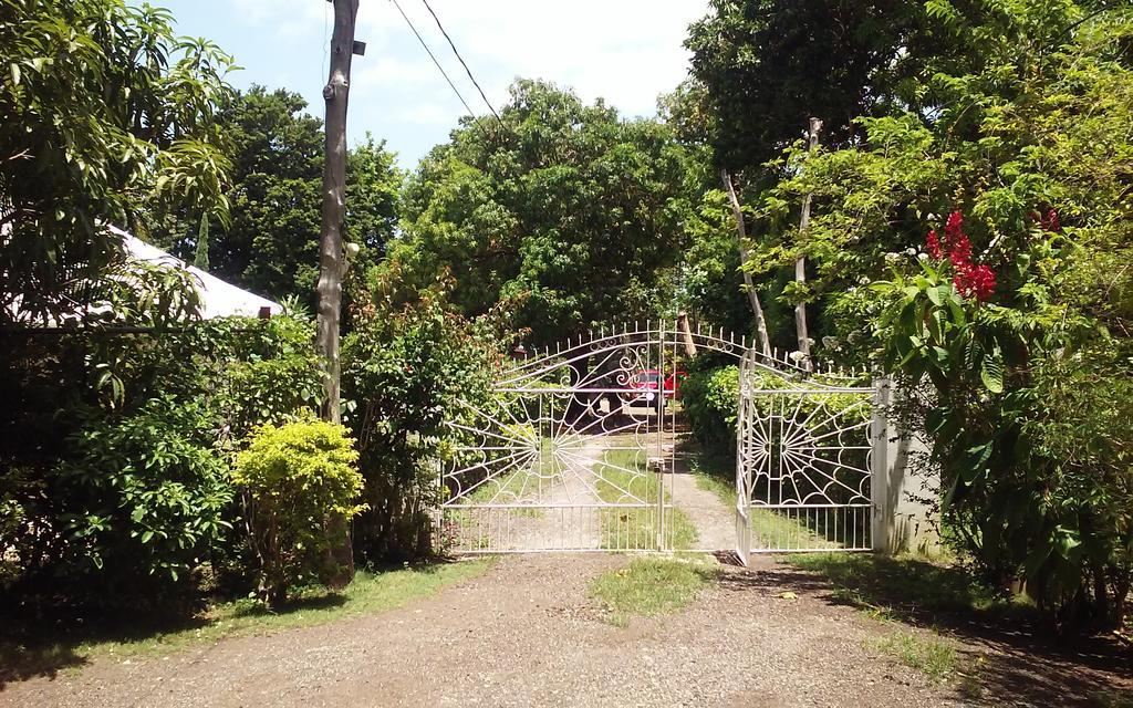 Shades Cottage Guesthouse Blue Hole Exterior photo
